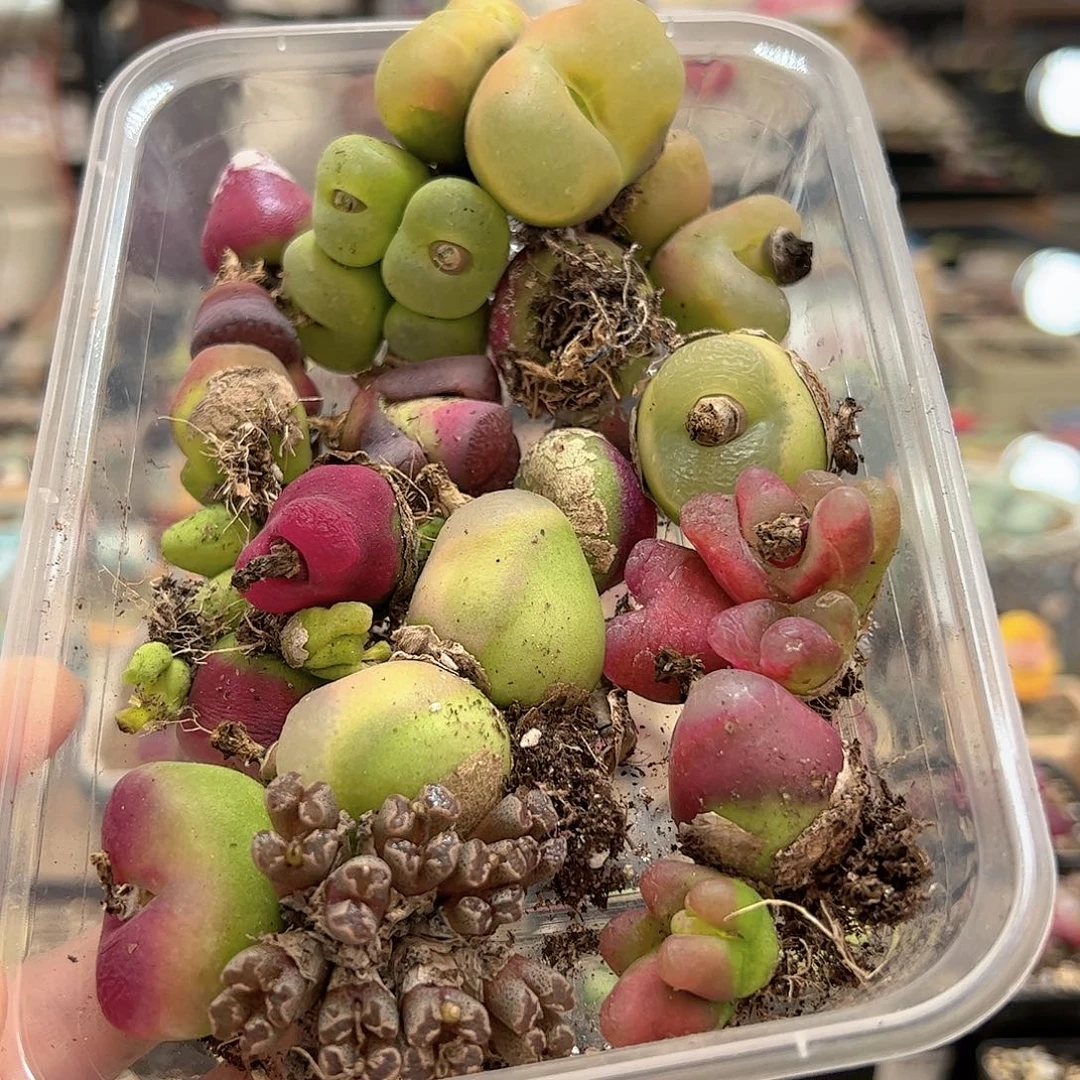 【闪购商品】358 全部