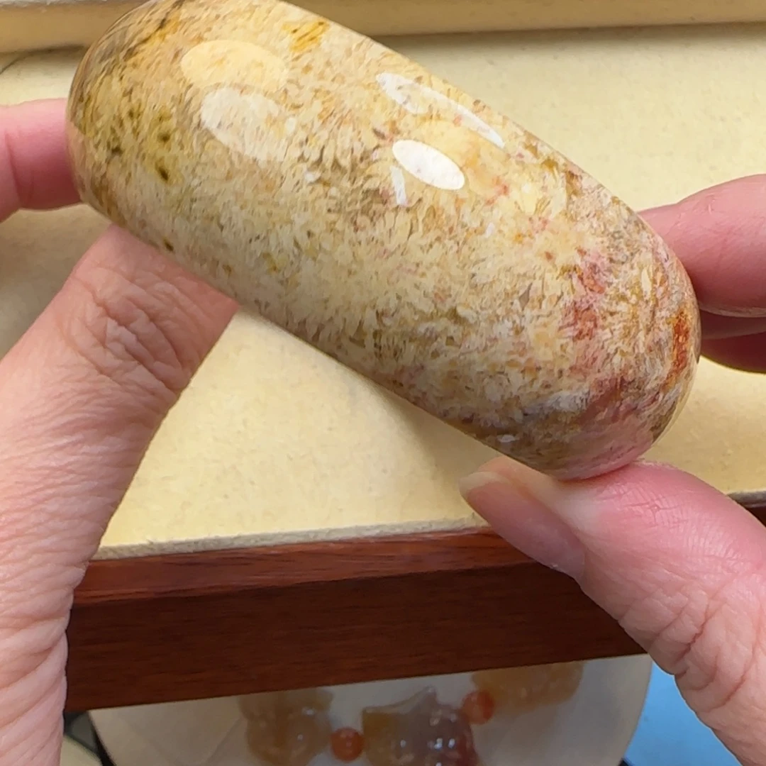 硅化珊瑚（珊瑚玉）未镶嵌手镯54-55圈