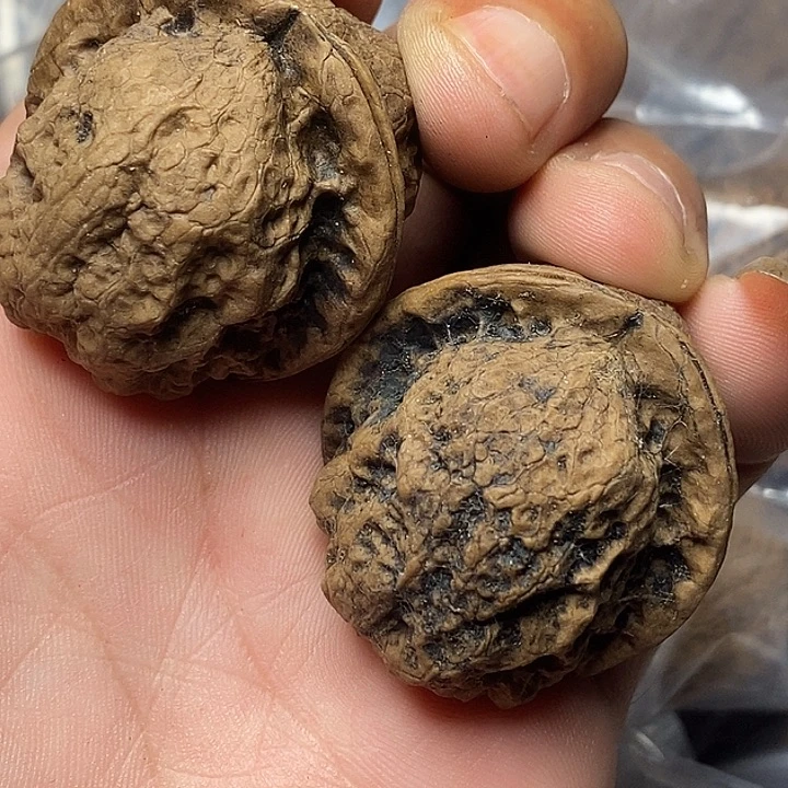 文玩核桃把件云南铁核桃86