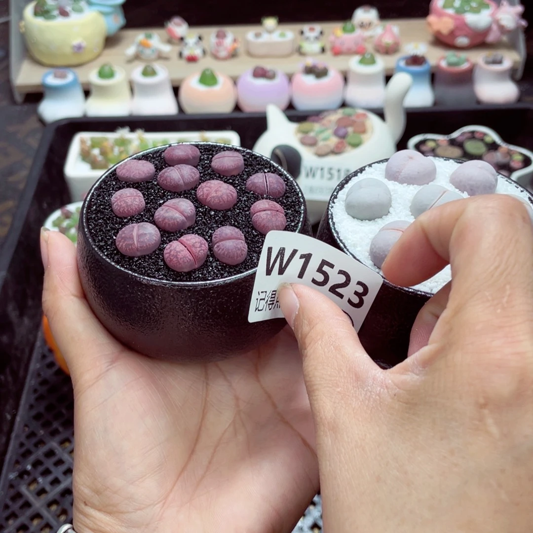 悠***、w1523 零下地区拍保温箱