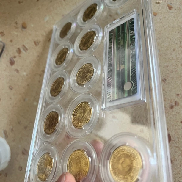 （藏收集）一整套12生肖币入盒摆件