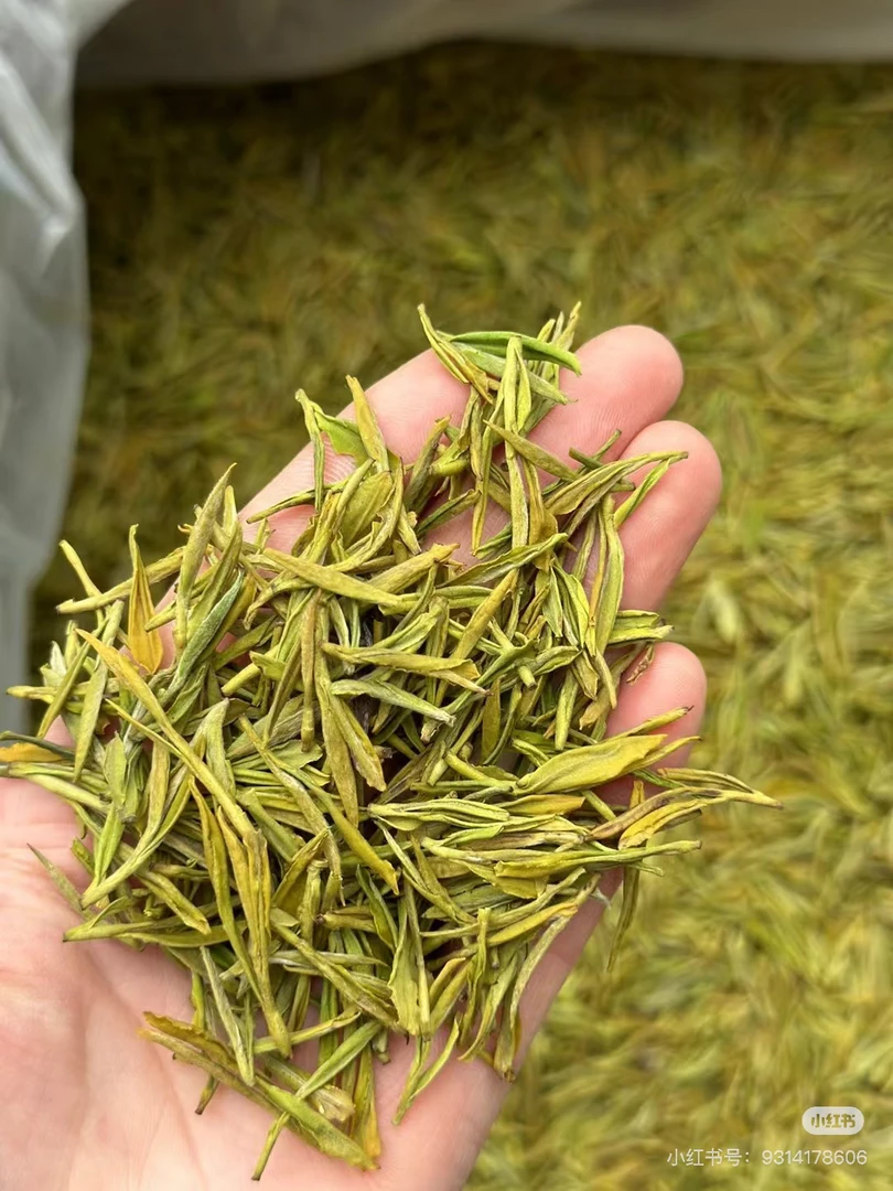 安吉明前兰香奶白黄金小芽茶叶芽鲜爽可口支持试喝