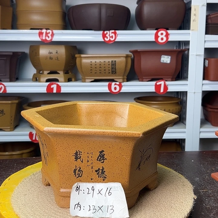 花盆紫砂你在一起