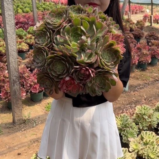 万花筒一颗包邮福利30厘米左右