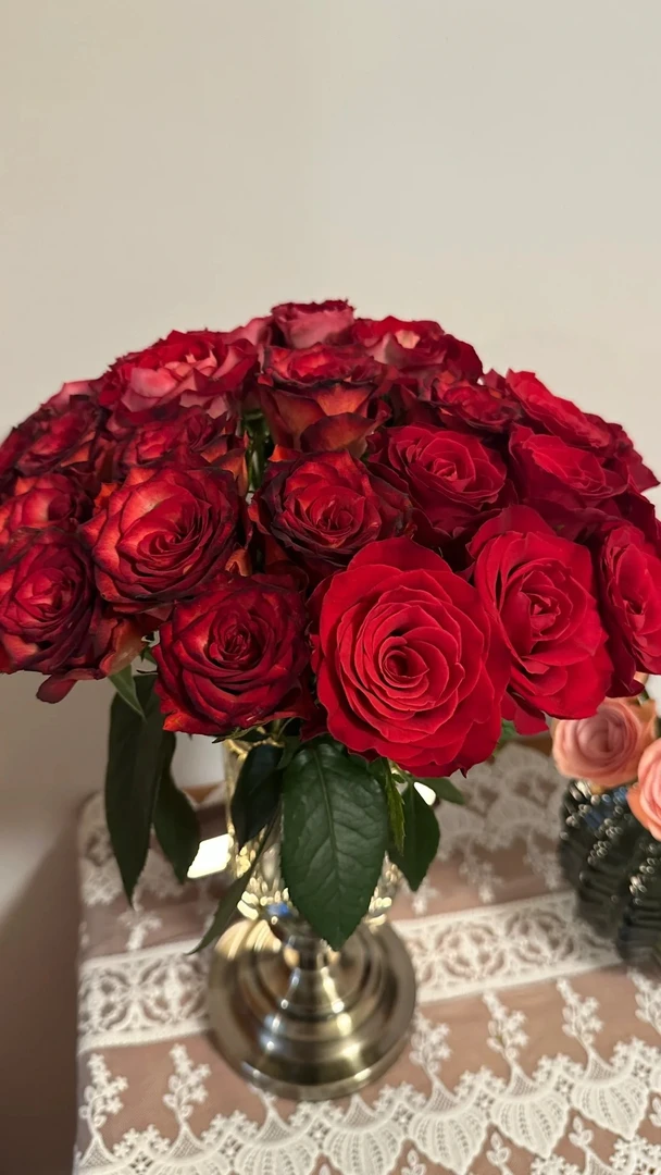 【钟情】高品质红色玫瑰  5℃以下地区必拍保温棉 不拍冻坏不售后