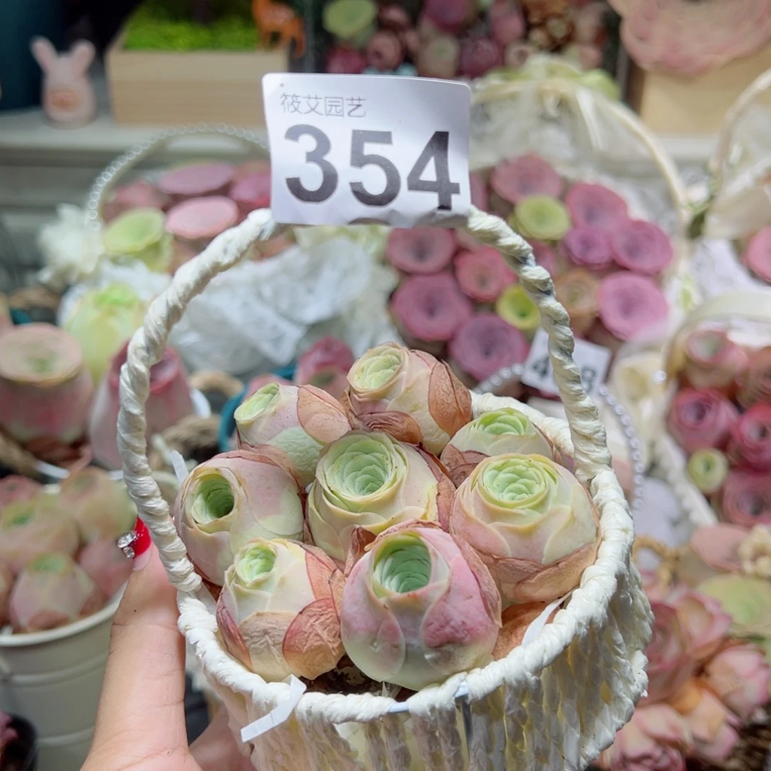 。****354一篮水蜜桃组合。