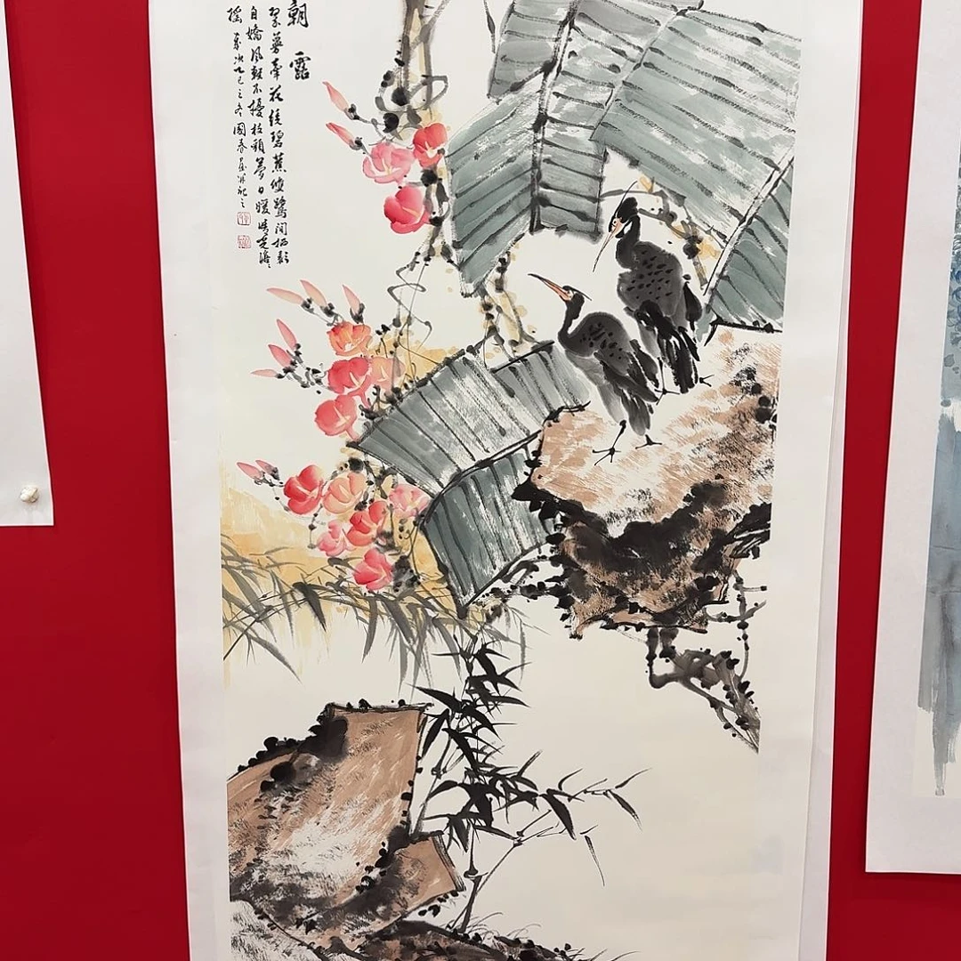 国画新号开播福利多多