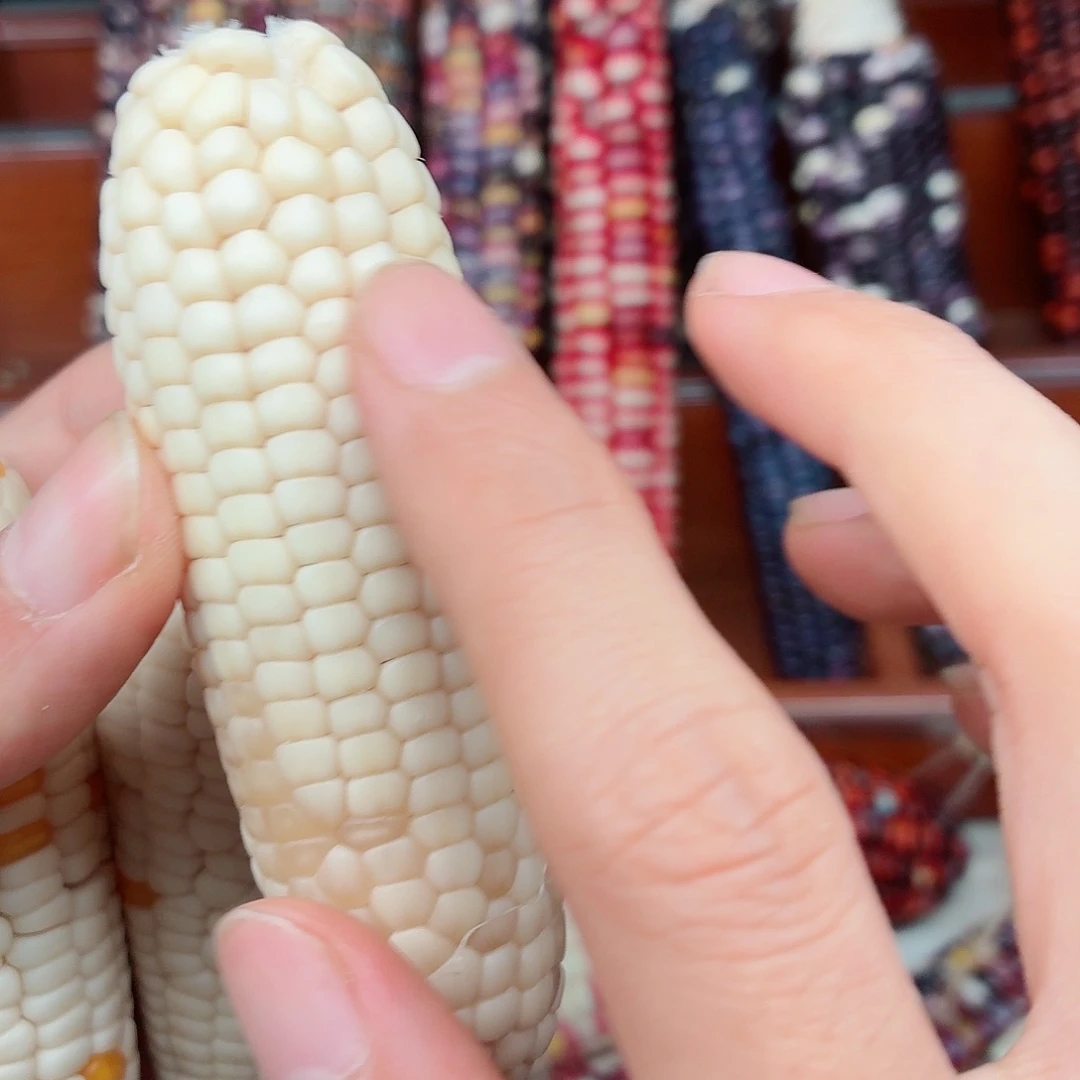 是***ˊ吊坠白玉菩提文玩玉米毛料精品
