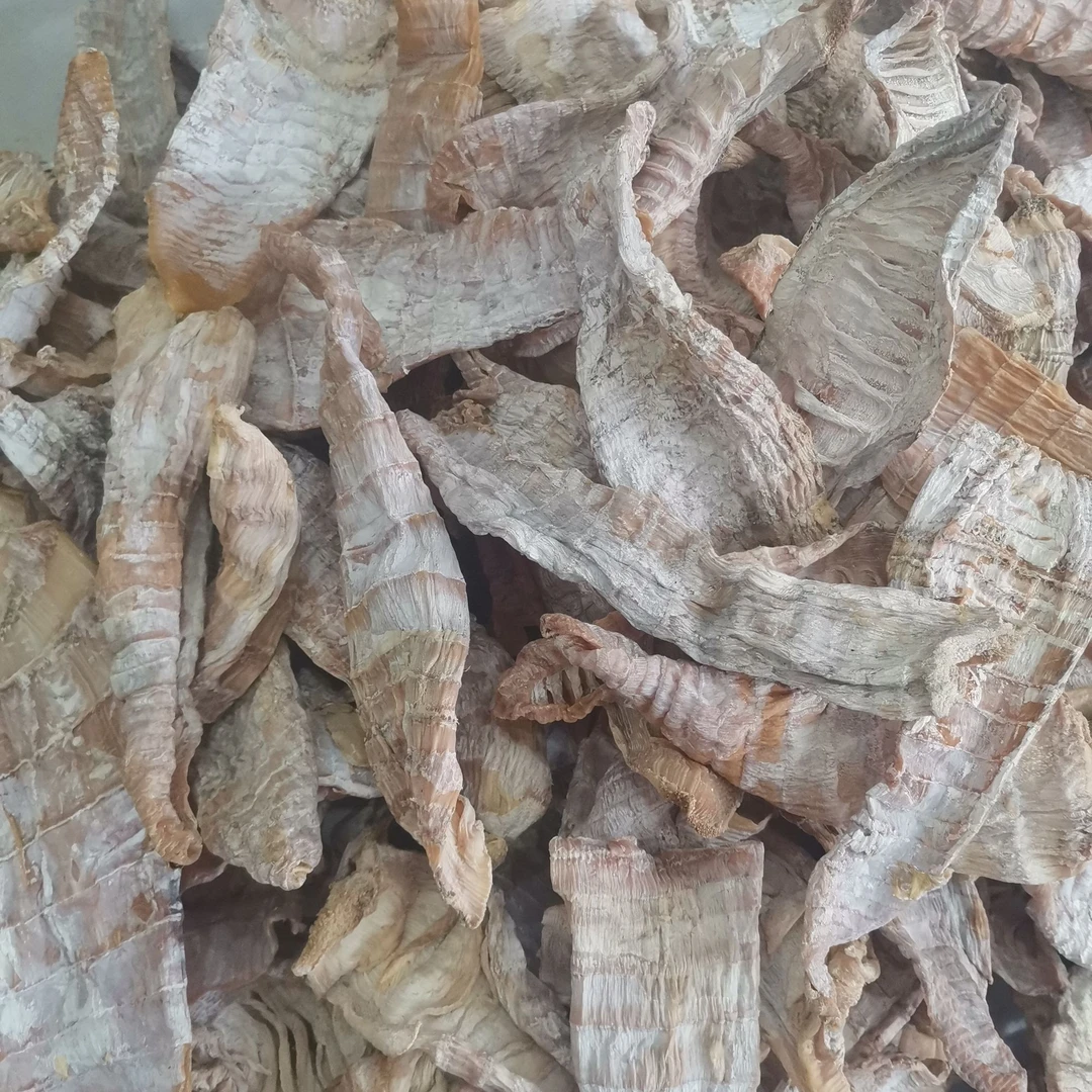 湖南郴州现挖新鲜黄泥农家干笋春笋鲜嫩可口100克