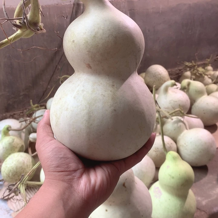 用***1中号现货供应充足