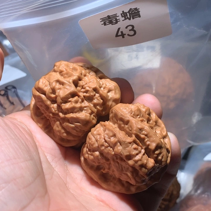吊坠文玩核桃毒蟾