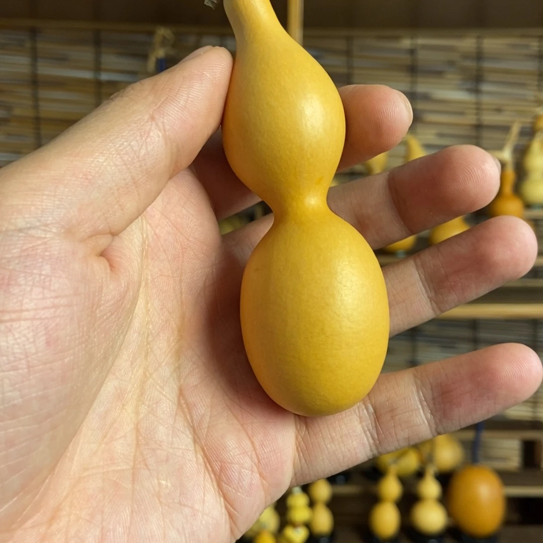 lllllllll一物一拍006