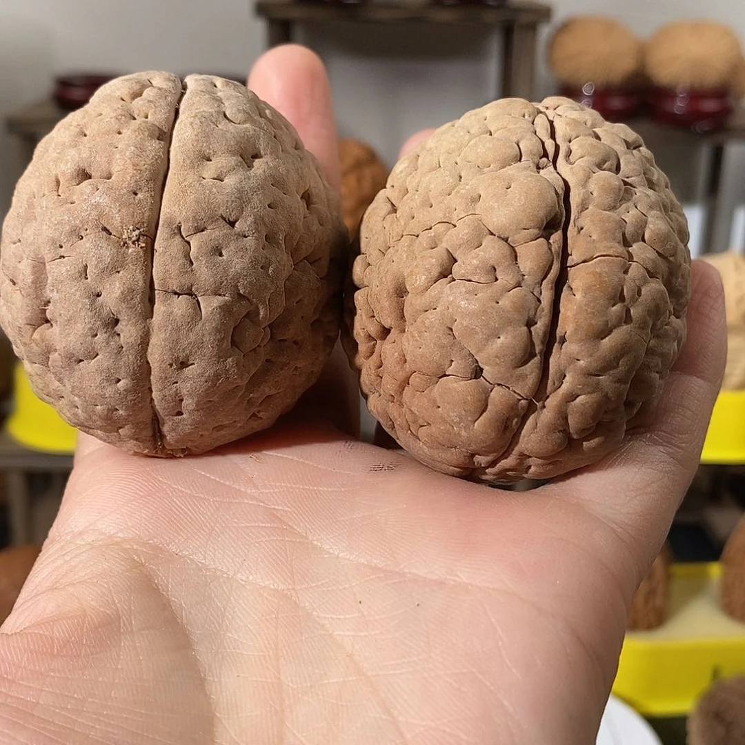 吊坠文玩核桃影**久三瓣脑纹金刚虫眼不退不换不接受中差评