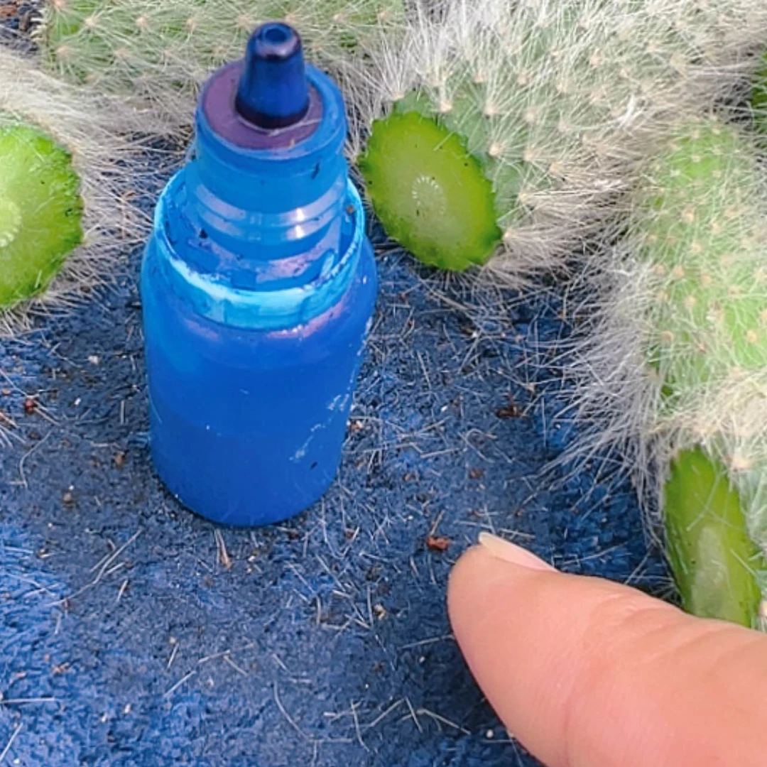 【闪购商品】鲜花绿植杀菌偏远不拍