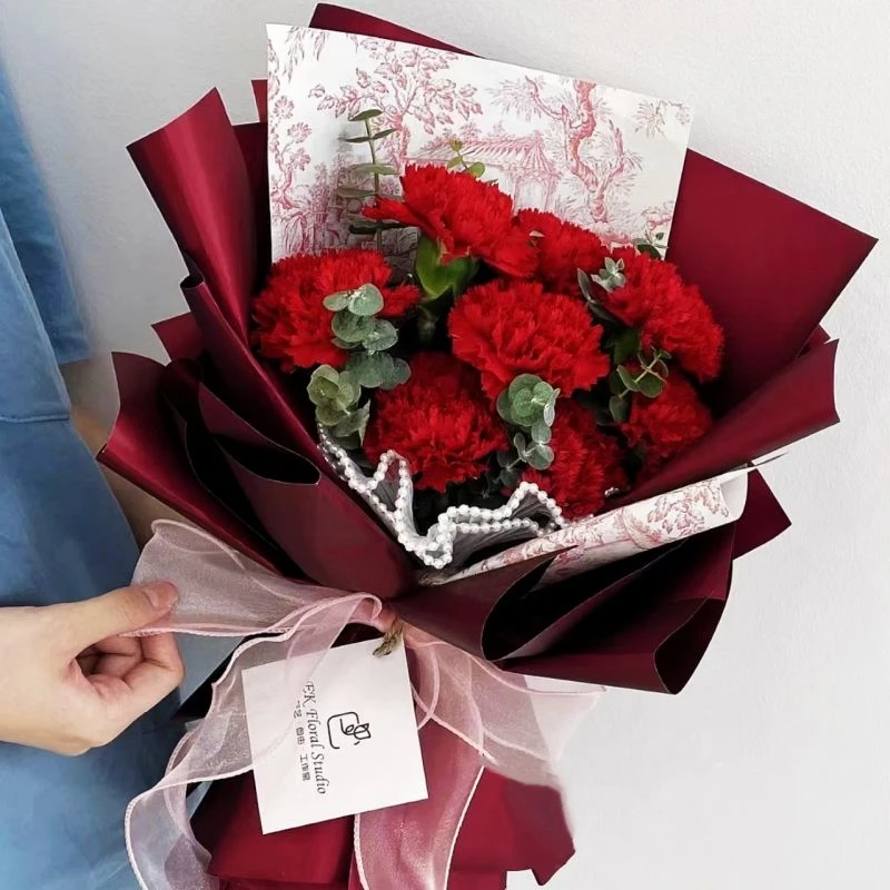 『加倍爱你』9朵红色康乃馨鲜花花束生日礼物送妈妈送长辈送领导花店鲜花配送