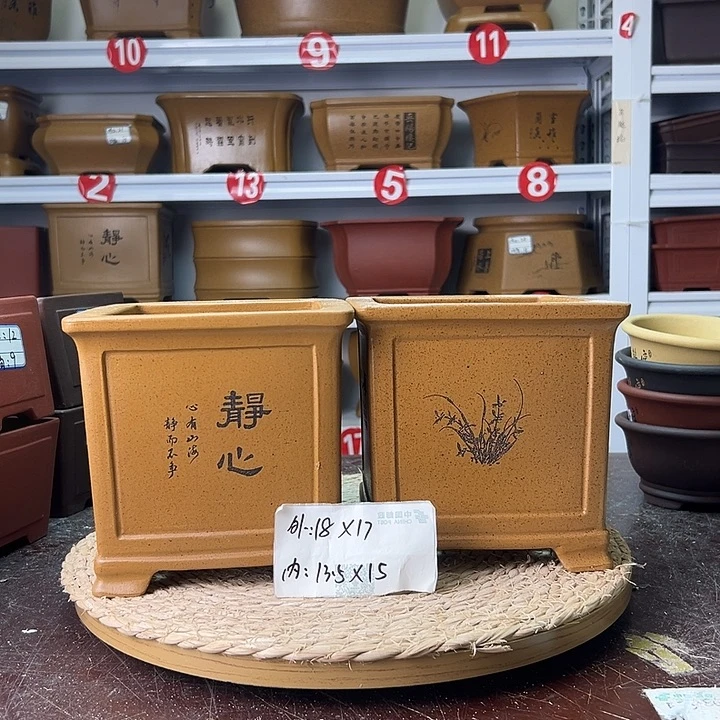 紫砂花盆蛇年大吉