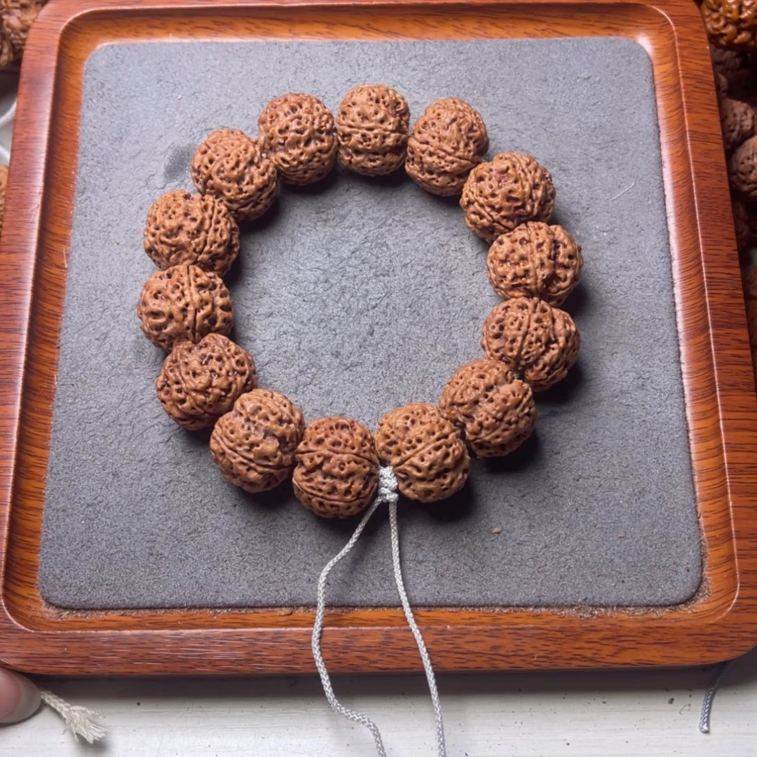 菩提25号金刚菩提满肉蜂窝23