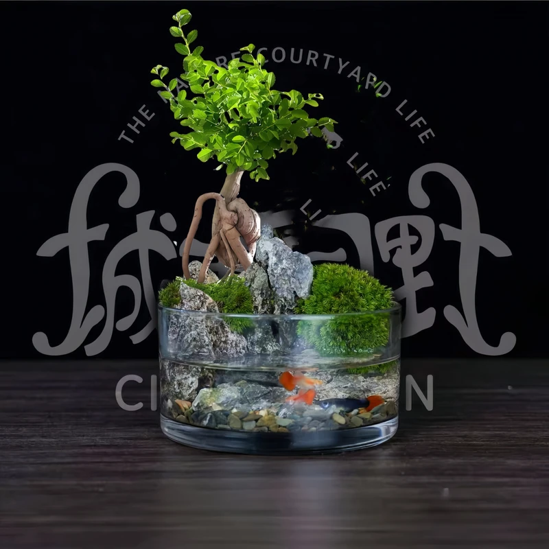 【老桩榆树】--绿植盆栽禅意室内造景懒人植物方缸-缸体15*8