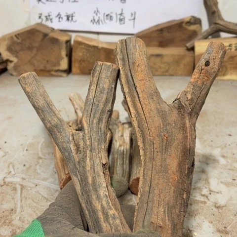 大果紫檀（缅甸花梨）泓****刻