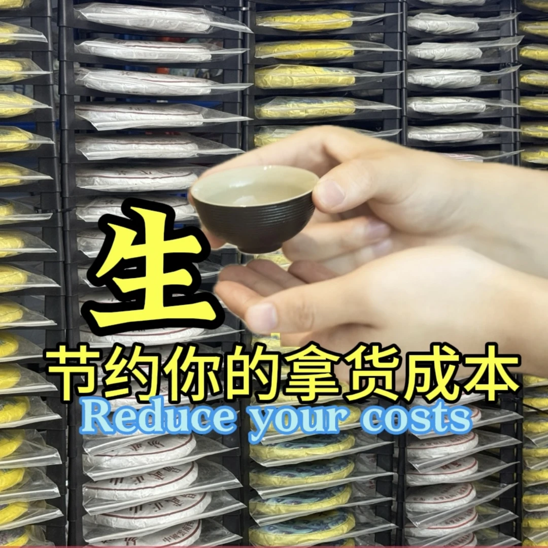 聚茶茶~06年金芽散生茶~云南小叶种晒青毛茶普洱茶250克