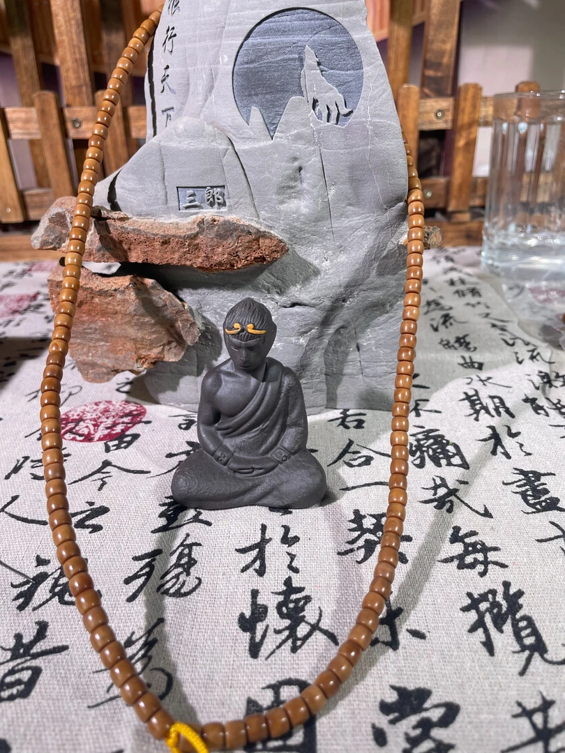 龙脊菩提5.0老型长串