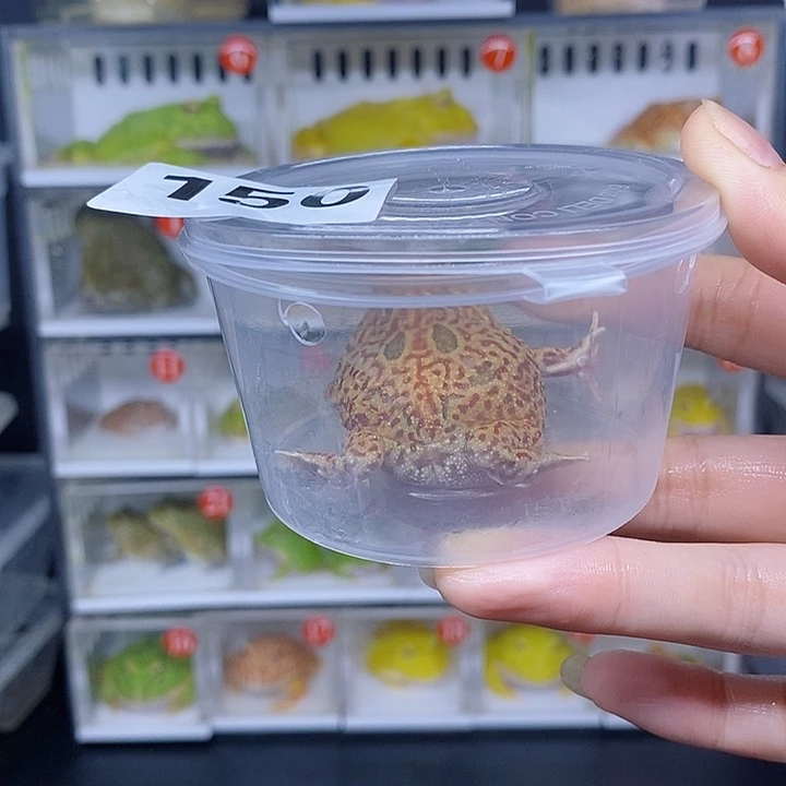 特价秒杀现货特价