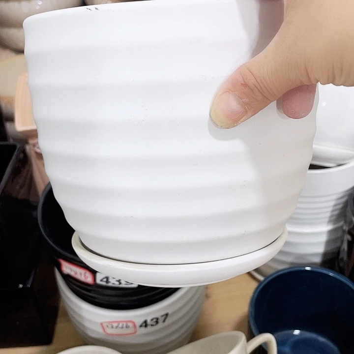 花盆花盆花盆花盆花盆花盆是