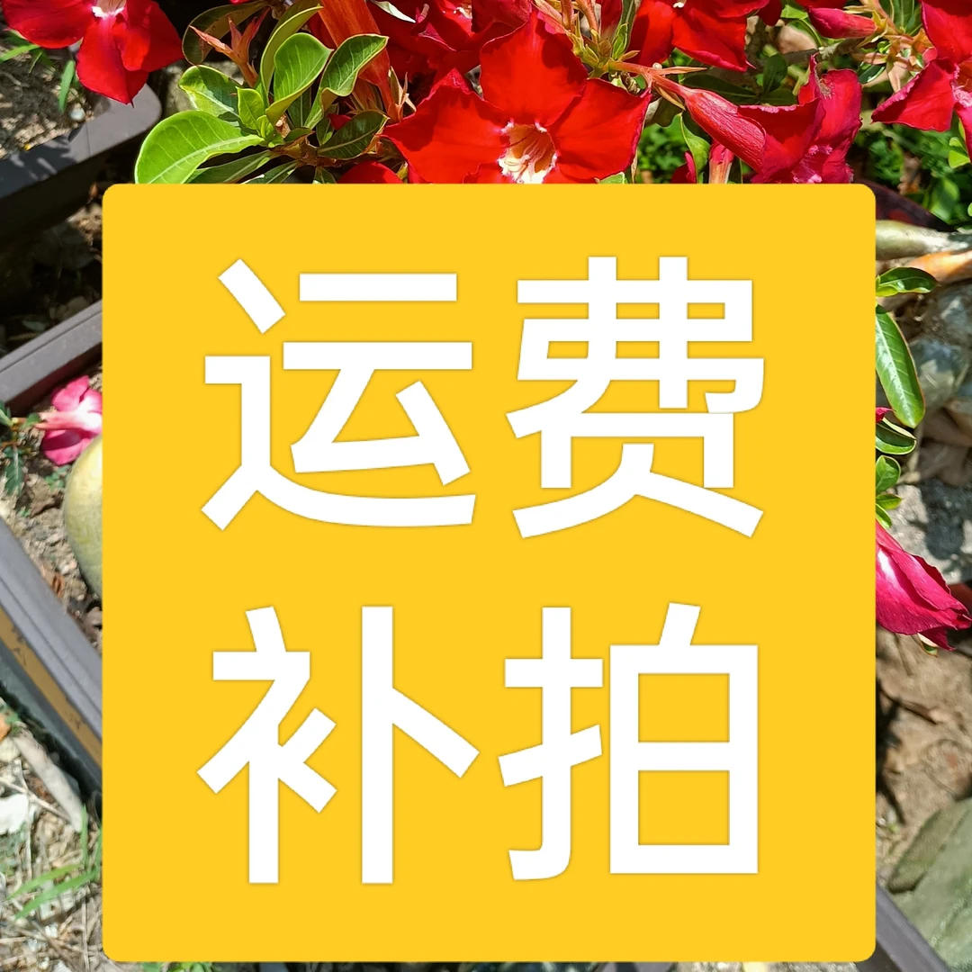 泰国沙漠玫瑰海南儋州基地