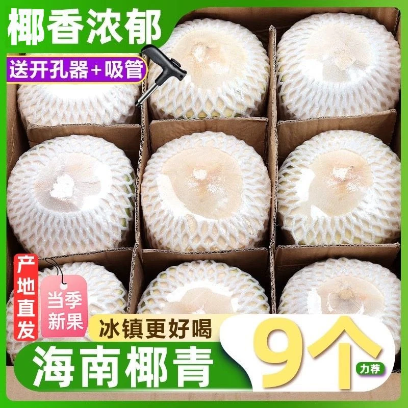 海南新鲜椰青精选大果清甜解渴适合孕妇送开椰器和吸管