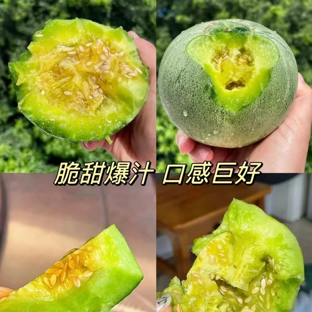 绿宝甜瓜（6斤）顺丰包邮到家