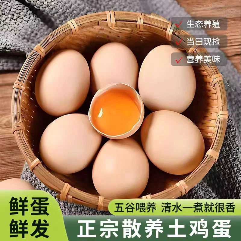 京东送上门农村鸡蛋散养正宗土鸡蛋山林纯五谷喂养虫草蛋适合孕妇