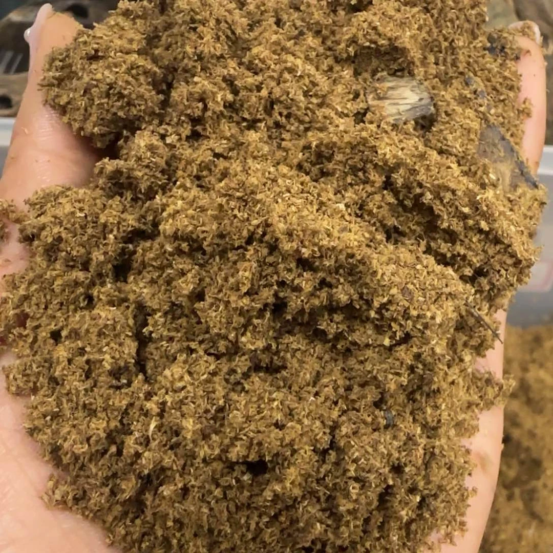 沉香木摆件棋楠沉香全油锯未粉100克