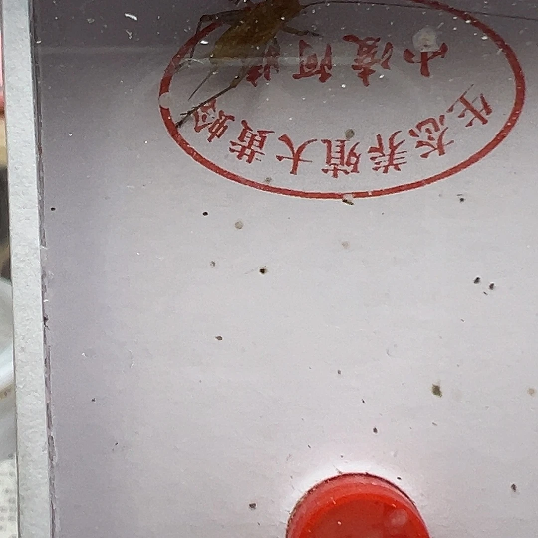 黄蛉哈哈哈哈哈哈哈哈哈哈哈