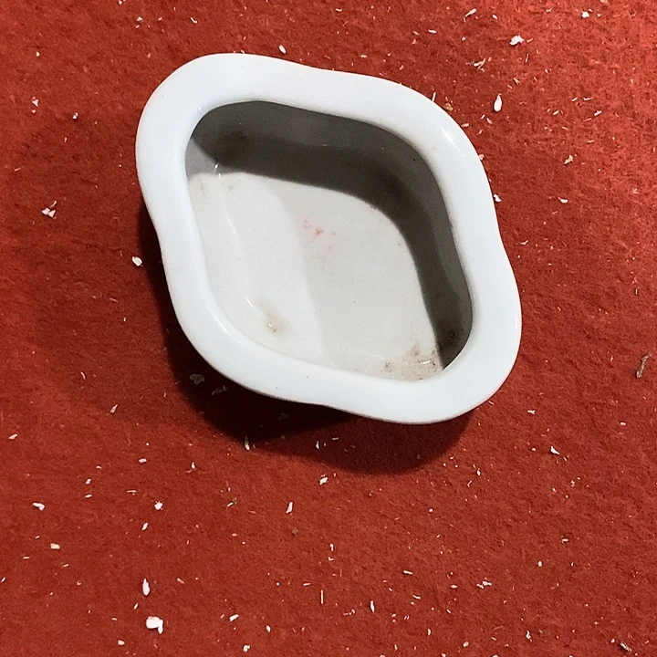 瓷片你喜欢的老厂子都会关注
