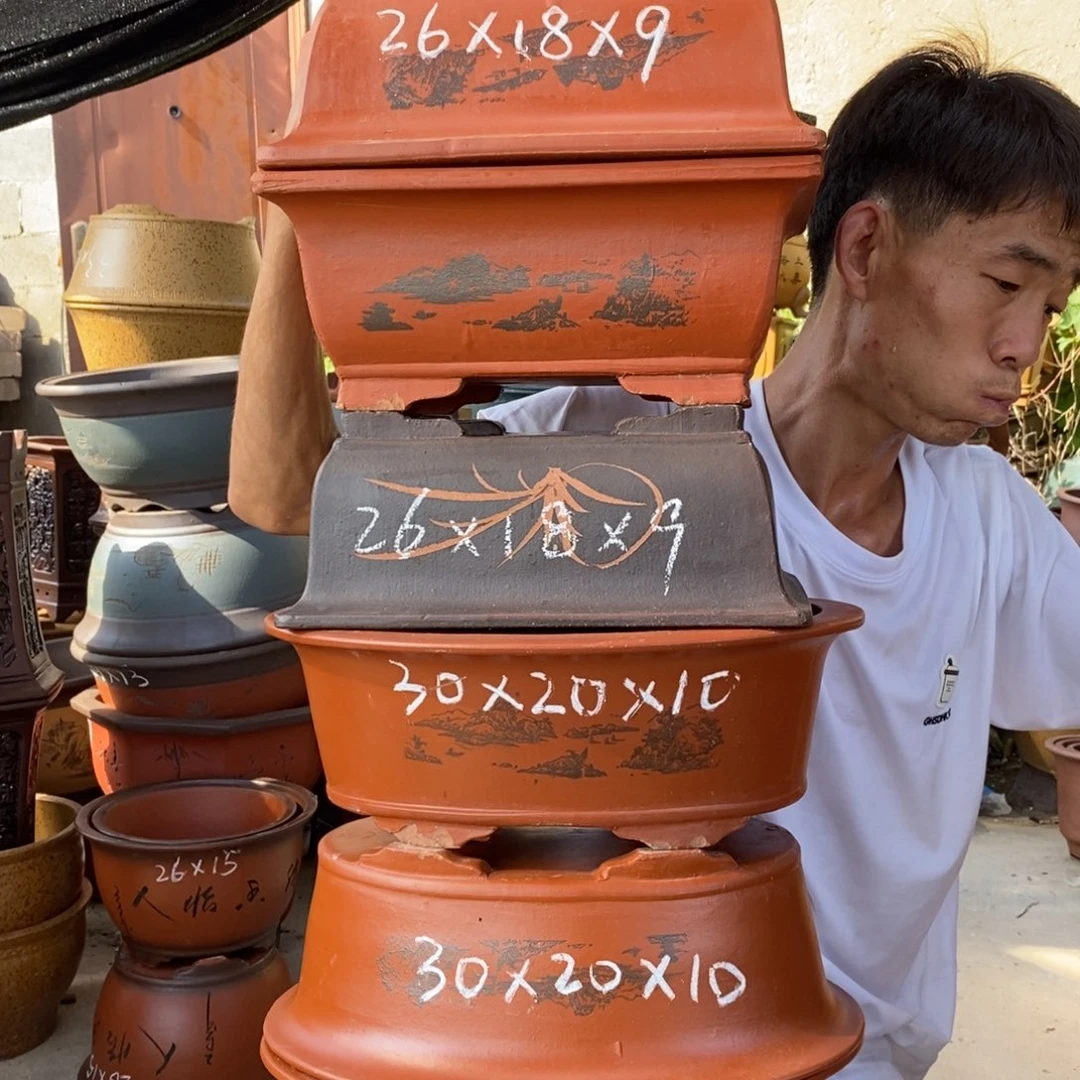 紫砂紫砂紫砂紫砂