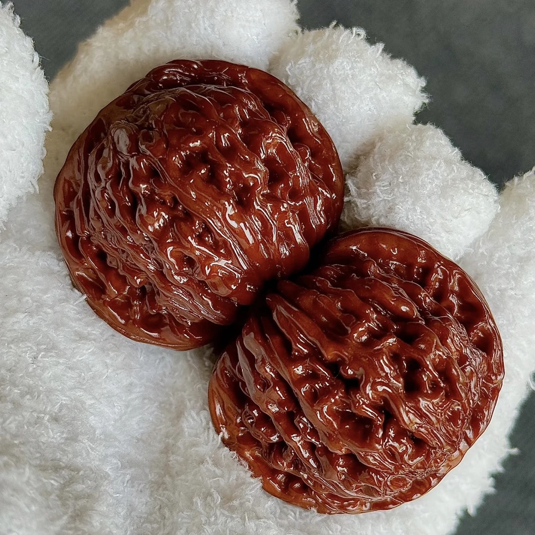 文玩核桃把件麻核桃白狮子元宝蛤蟆头粗筋南瓜墩