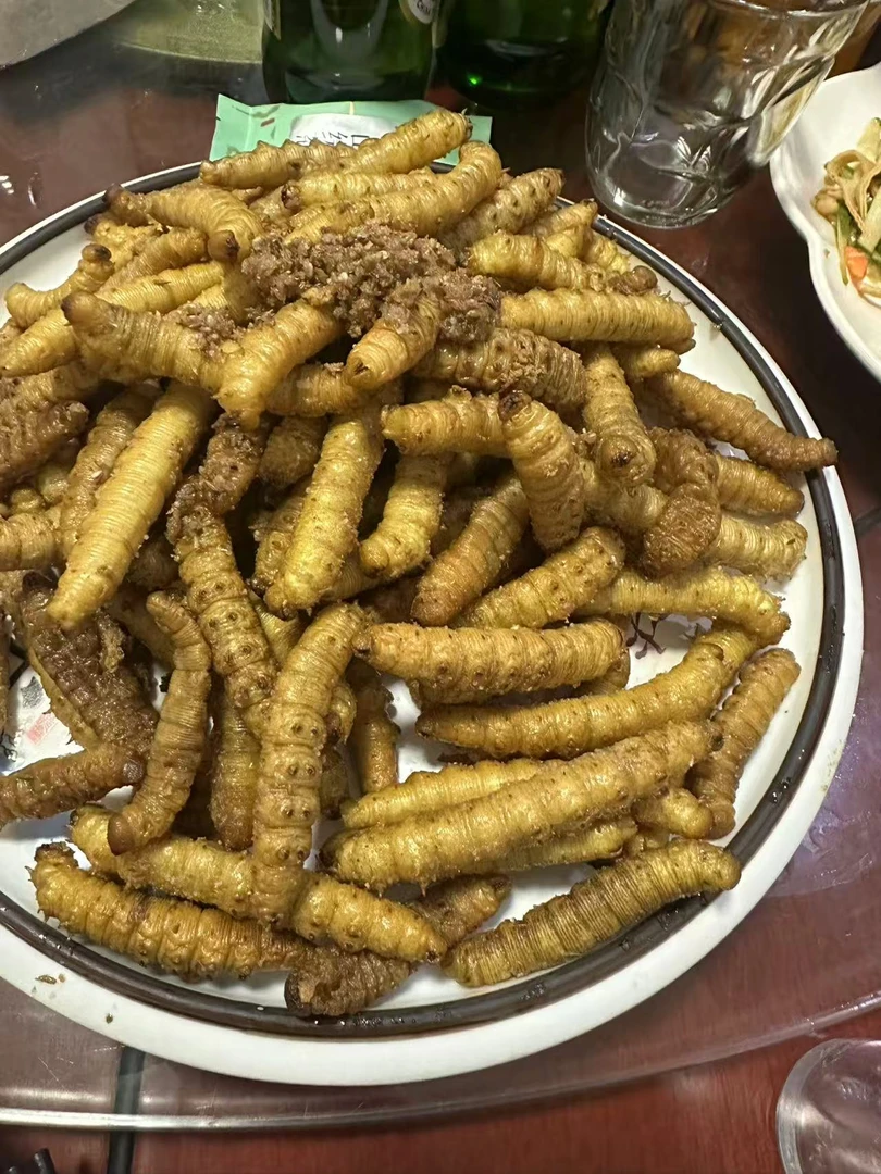 山东新鲜豆虫活体发货顺丰快递（65只左右/斤）