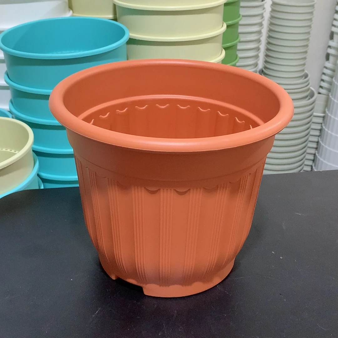 树脂罗马口24红4个无托