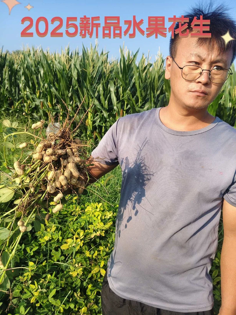 人工挑选带壳湿水果花生农家自种新鲜现挖养胃花生