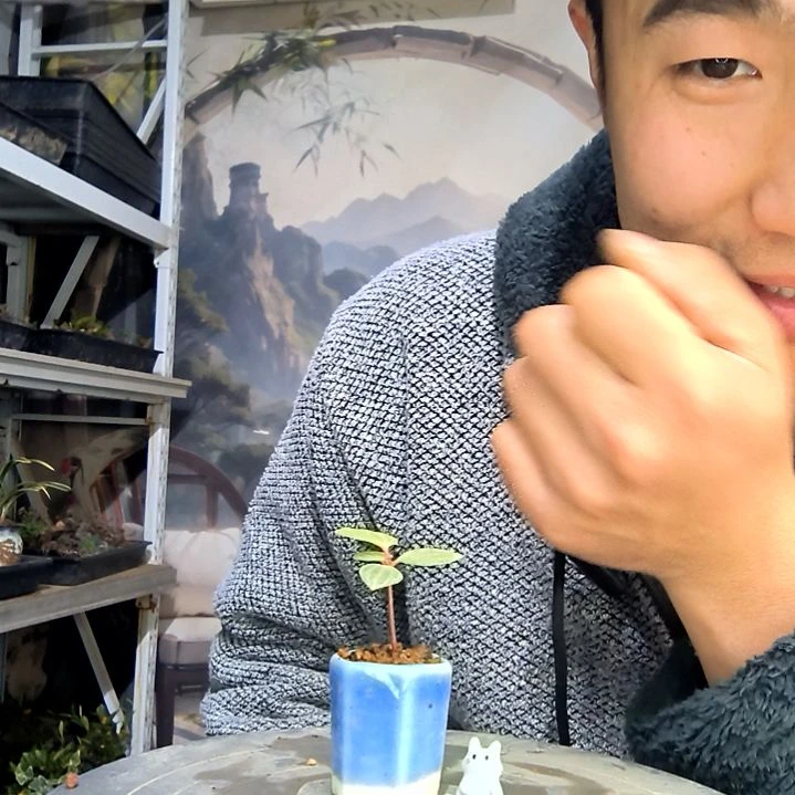 L****中青园艺一物一拍花175