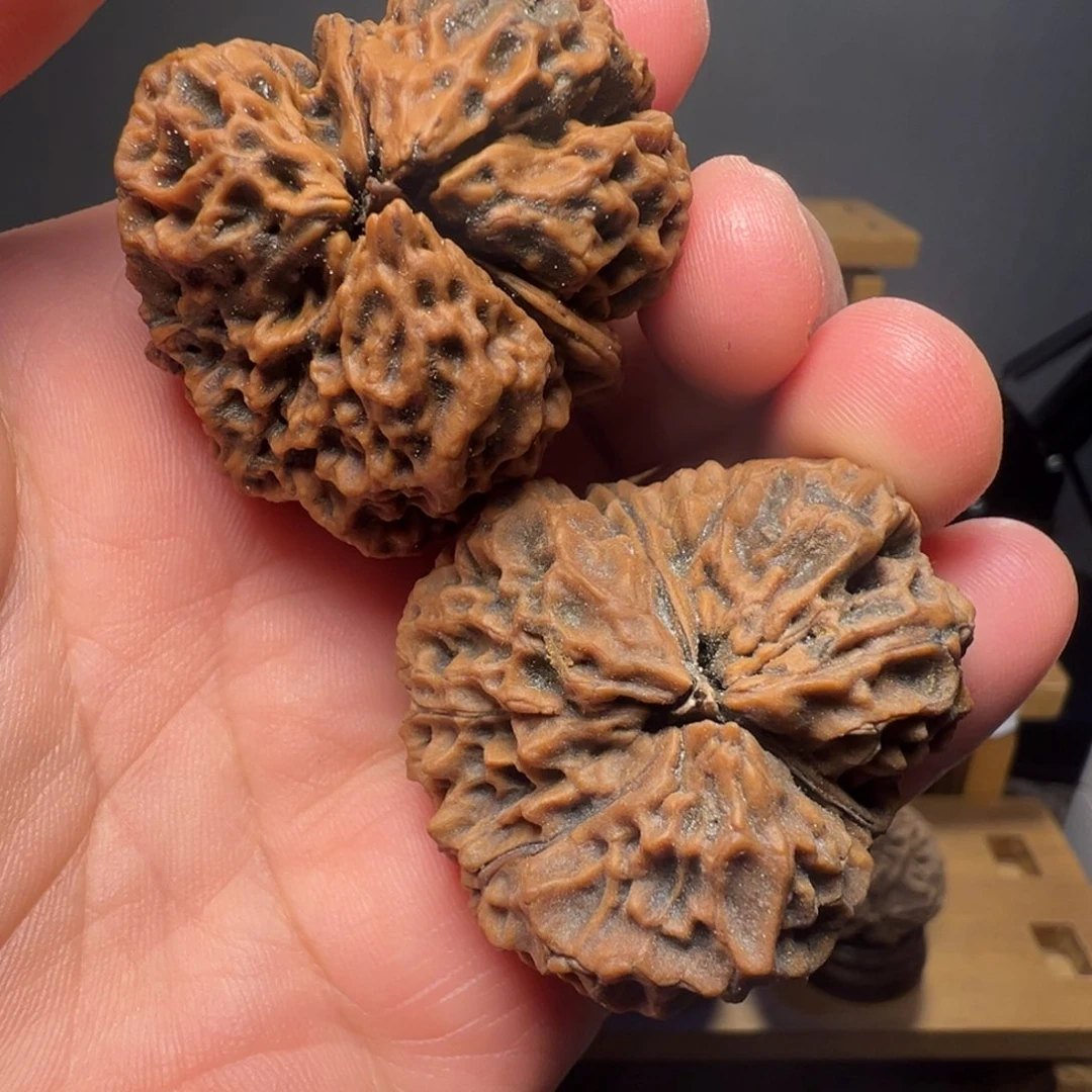 吊坠文玩核桃滚龙纹龟背39mm