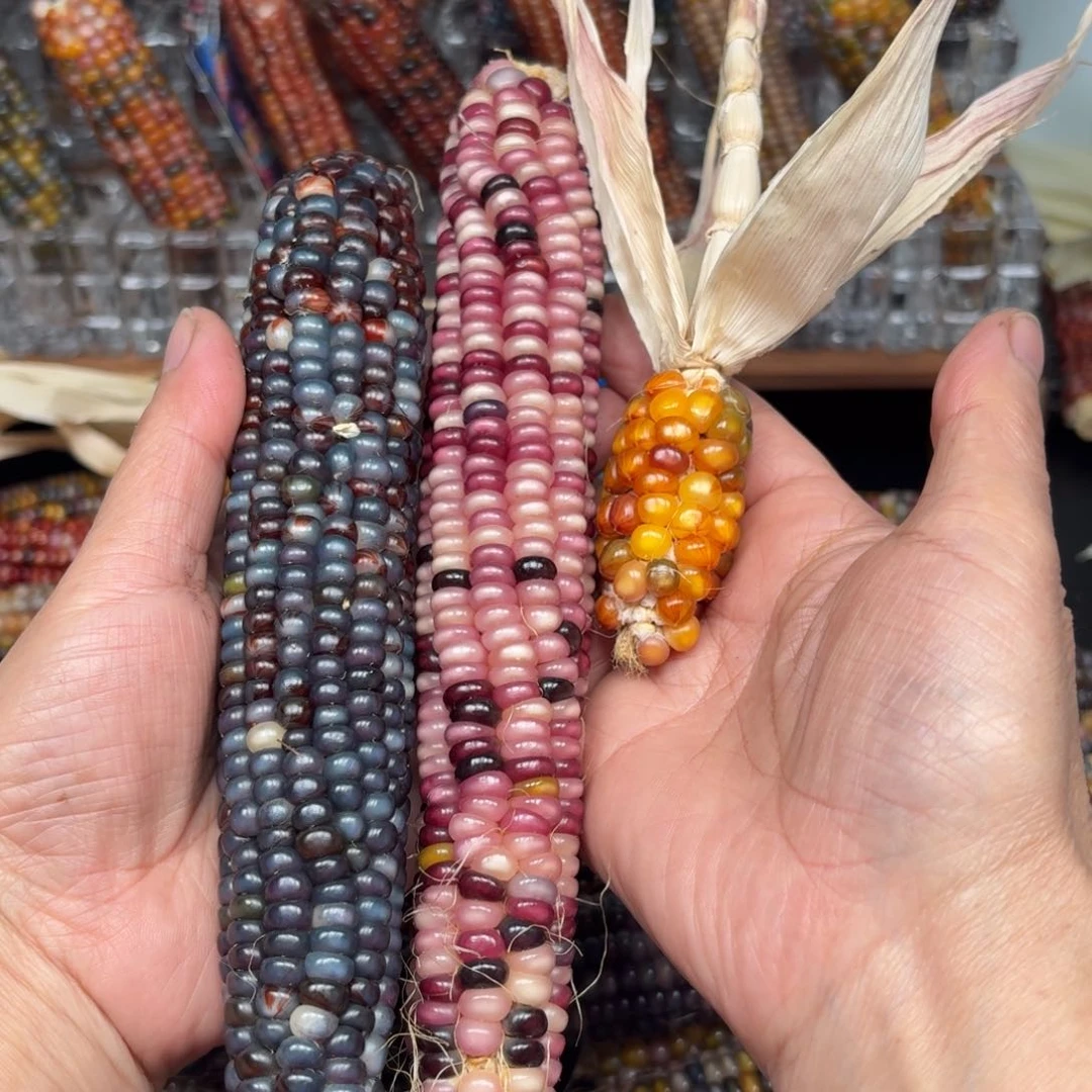 柏香籽/百香籽吊坠1****6