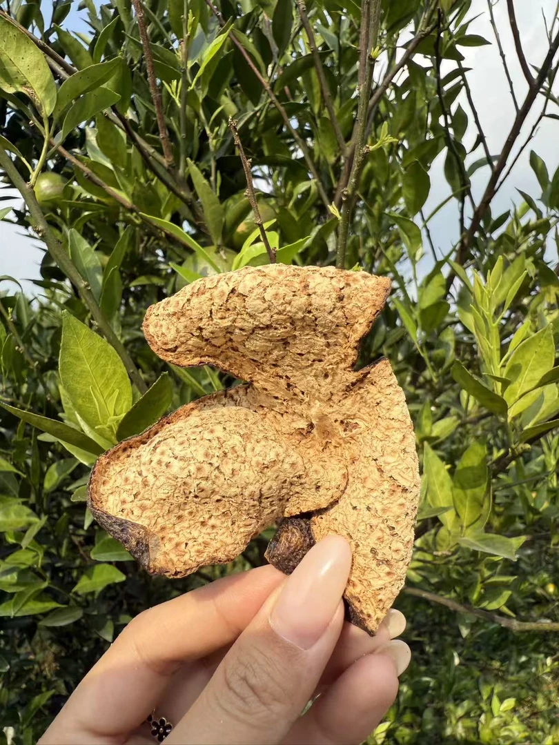 广东新会陈皮三年老陈皮泡茶泡水干仓生晒核心产区500g袋装茶枝柑