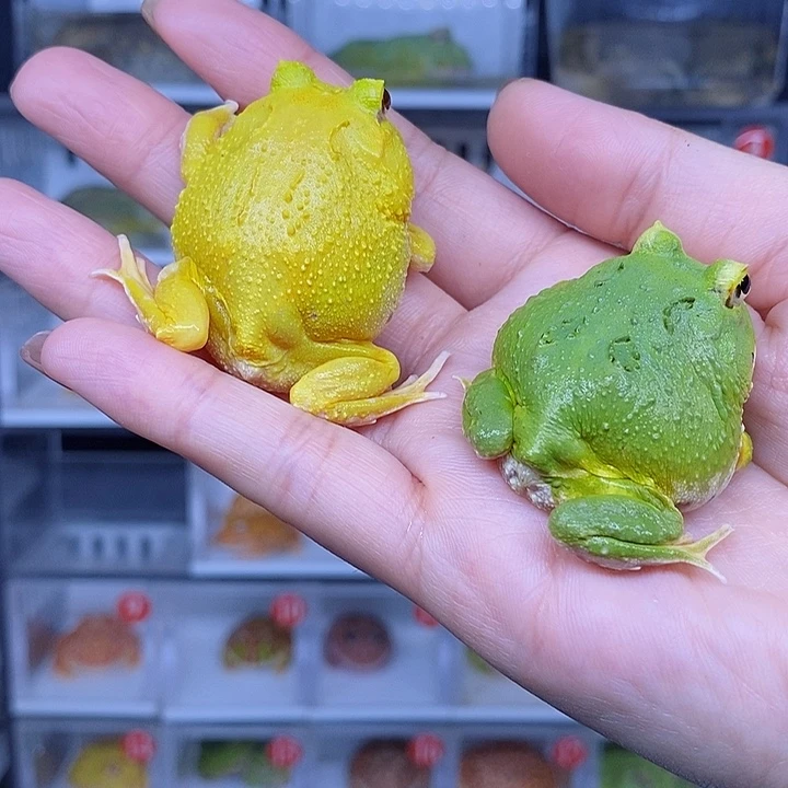 特价秒杀现货特价