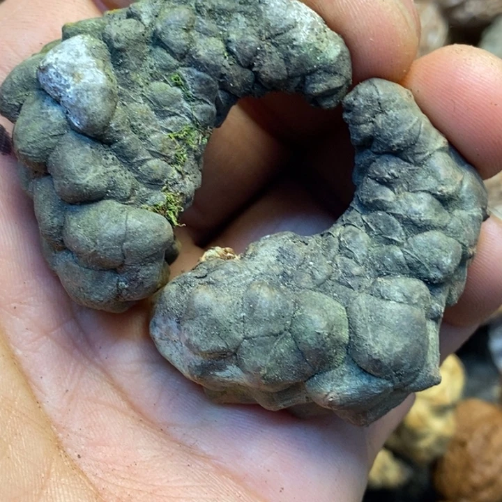 桃核吊坠娜姐真的46