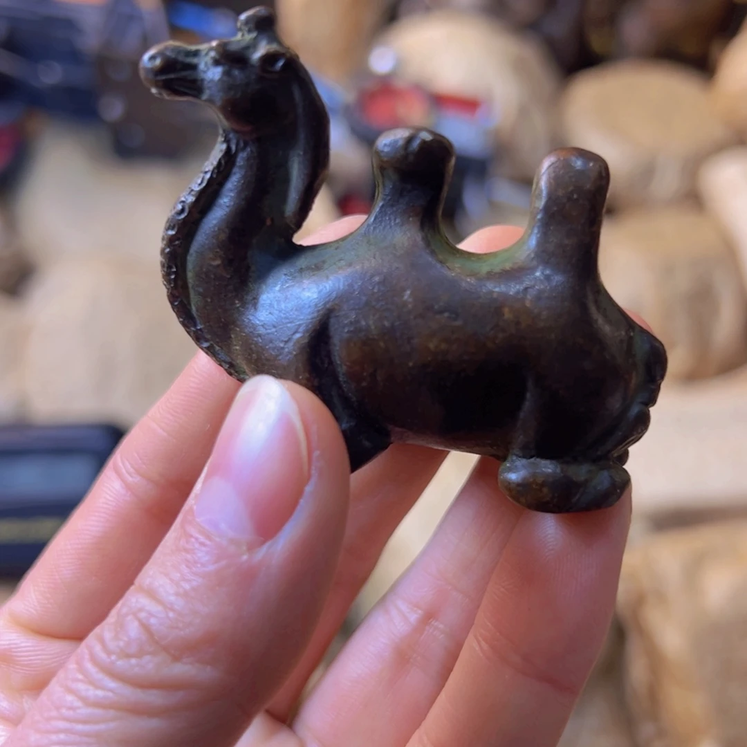 最后一场！！给完过年