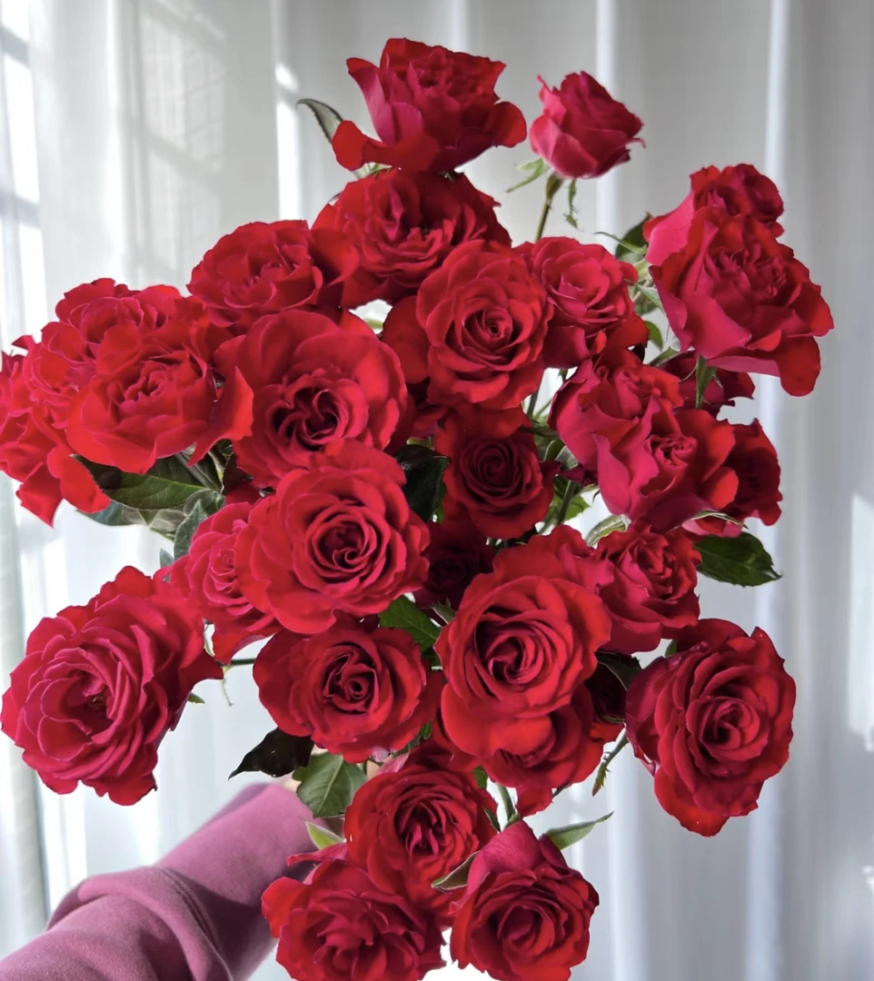 （曼）多头霓虹泡泡8支➕2支防损鲜花任意满两单包邮