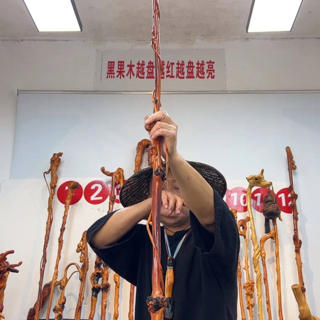 其他黑果木黑果木234