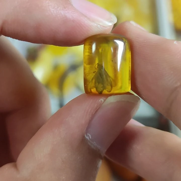 未镶嵌琥珀珠宝奇石虫珀300