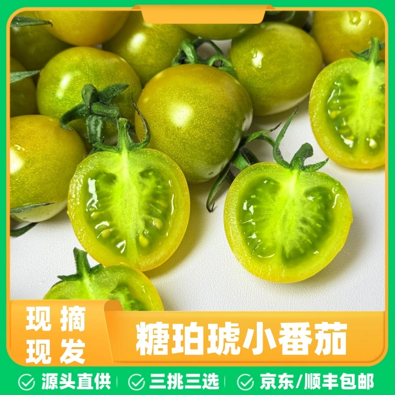 糖珀琥小番茄非青甜二号新鲜爆汁水果圣女果【京东/顺丰包邮】